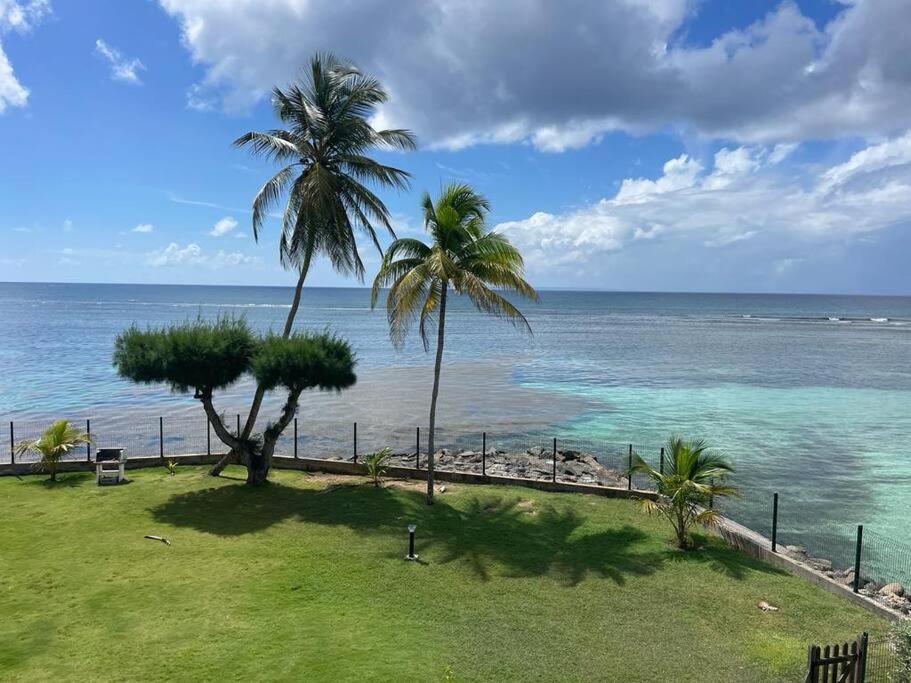 Ti Macloa - Appartement Les Pieds Dans L'Eau Sainte-Anne  Ngoại thất bức ảnh
